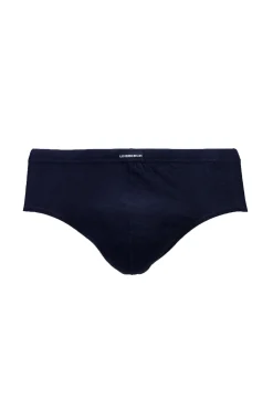 Briefs